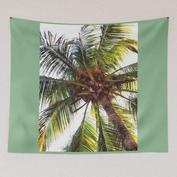 Item preview, Tropical Palm Tree With Coconuts designed and sold by mikels.