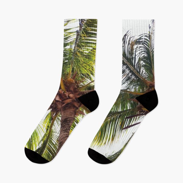 Item preview, Tropical Palm Tree With Coconuts designed and sold by mikels.