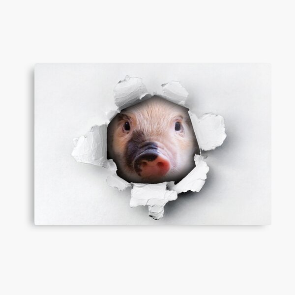 Pig Greeting Cards and Magnets Cute Pig Art Hogs and Kisses Art Print Farm Animal Art Print Pink Pig Print Pig Lover Gift Ideas