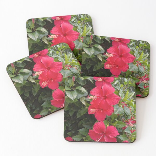 Item preview, Tres flores de hibisco rojo en mi jardín designed and sold by basitcv.