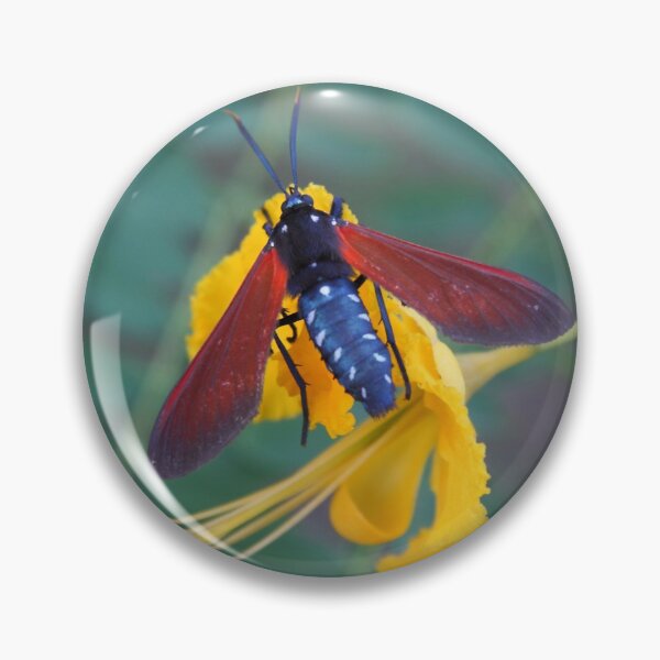 Item preview, Caribbean Nectar Lover designed and sold by hoxtonboy.
