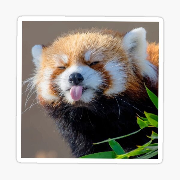 Item preview, Cute Funny Red Panda designed and sold by F1 Studio.