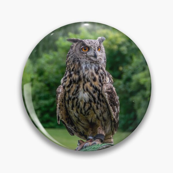 Item preview, Eurasian Eagle Owl designed and sold by Radibor78.