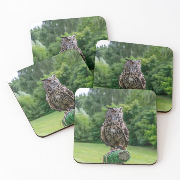 Item preview, Eurasian Eagle Owl designed and sold by Radibor78.