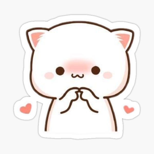 I am a Shy Catto I am a Shy Catto