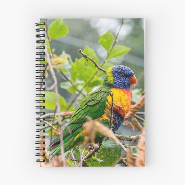 Item preview, Coconut lorikeet in tree branches designed and sold by Radibor78.