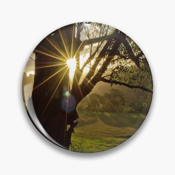 Item preview, Sun star through silhouetted tree designed and sold by yvonne hyland.