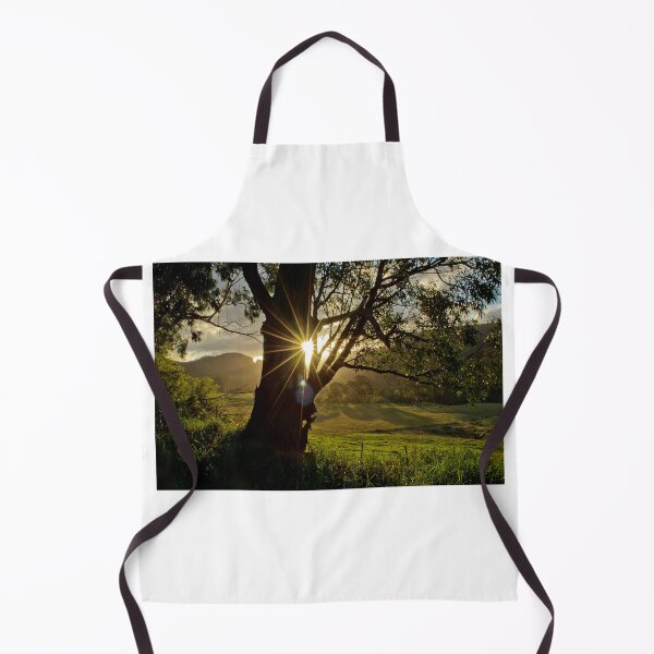 Item preview, Sun star through silhouetted tree designed and sold by yvonne hyland.