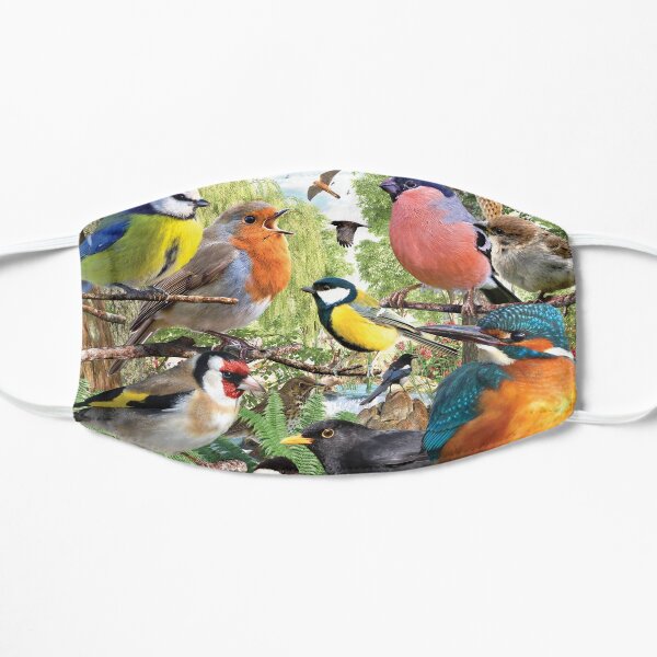 British Birds Flat Mask