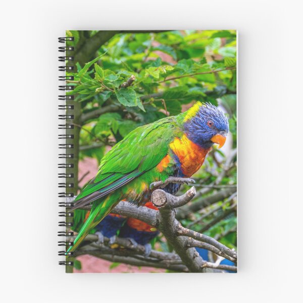 Item preview, Coconut lorikeet sitting in tree designed and sold by Radibor78.