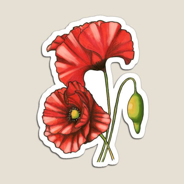 Artikelvorschau, Rote helle Hand gezeichnete Mohnblumen entworfen und verkauft von NataBold.