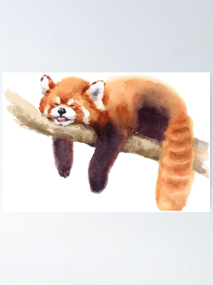 Cute Red Panda Painting Poster By Malaka7 Redbubble