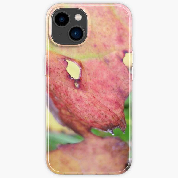 iPhone 14 - Soft