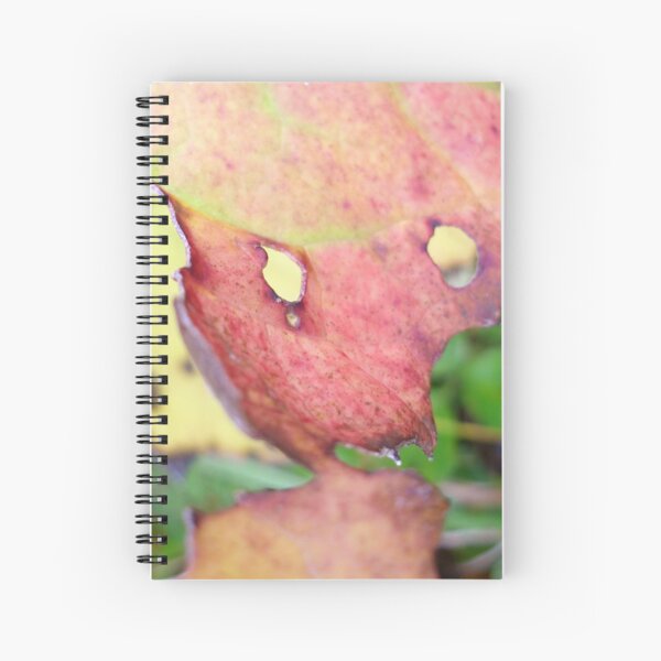 Spiral Notebook