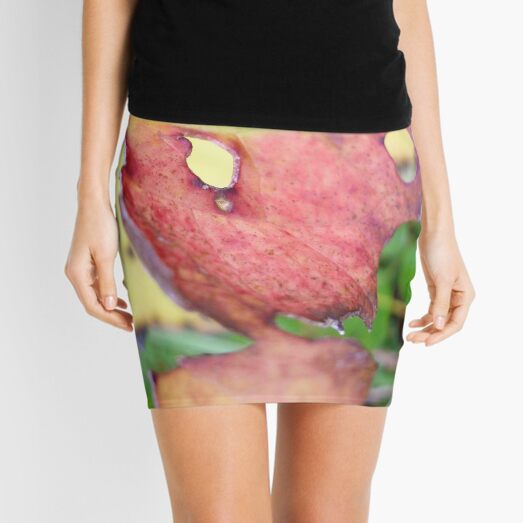 Mini Skirt