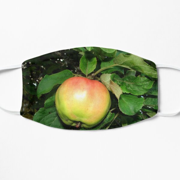 Apple on the branch Flat Mask