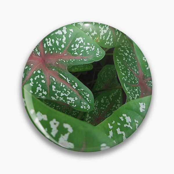 Item preview, Beautiful green plant designed and sold by Yeewen1234.