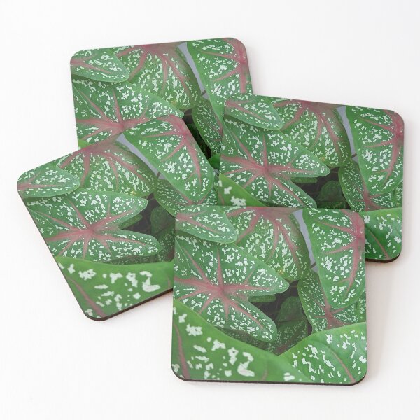 Item preview, Beautiful green plant designed and sold by Yeewen1234.