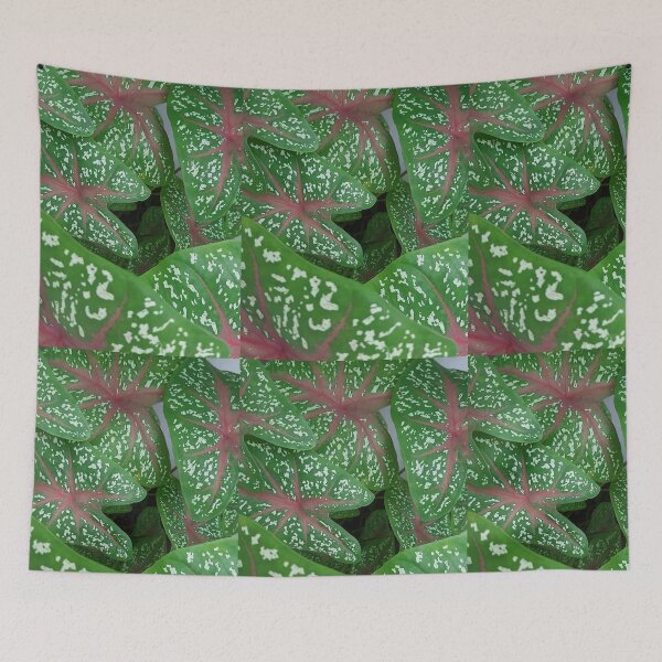 Item preview, Beautiful green plant designed and sold by Yeewen1234.