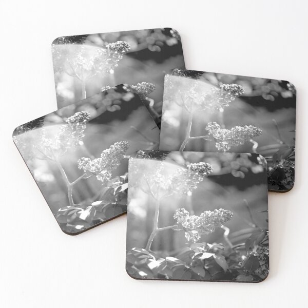 Item preview, Blinded By The Light (Monochrome) designed and sold by DoodleBugImages.