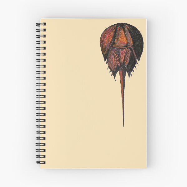 Item preview, Horseshoe Crab designed and sold by Salt & Keep.