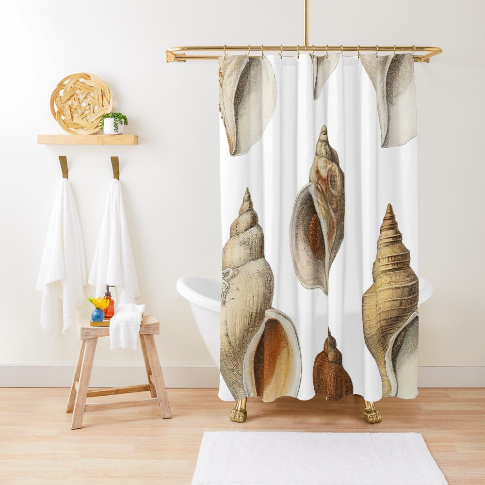 White Molluscs of the Northern Seas Shower Curtain