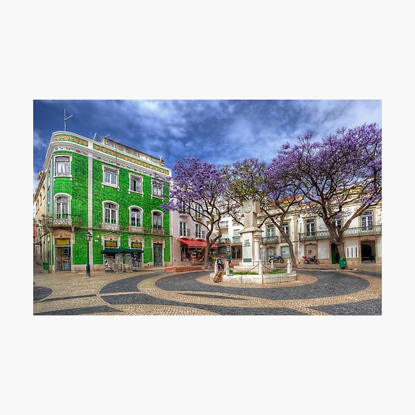 Jacaranda Square Lagos Photographic Print