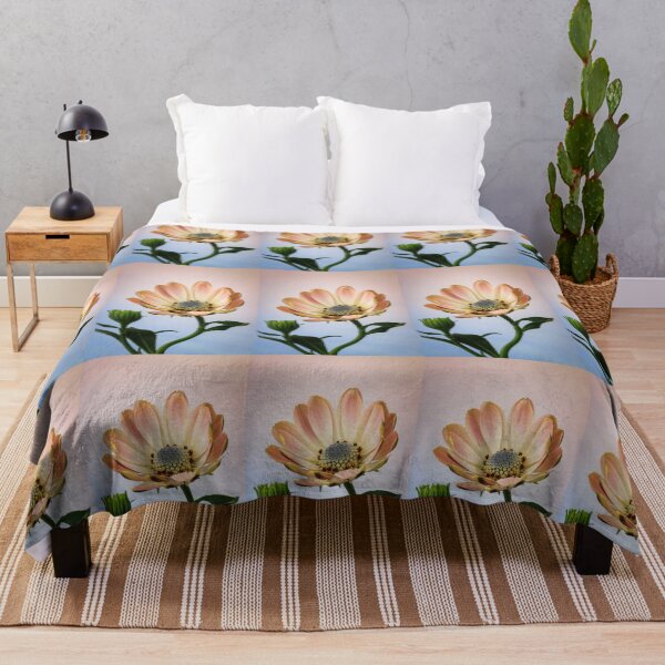 Item preview, Osteospermum and Bud. designed and sold by John Ray.