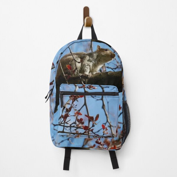 Item preview, Central Park Squirrel designed and sold by Magic-Moon.