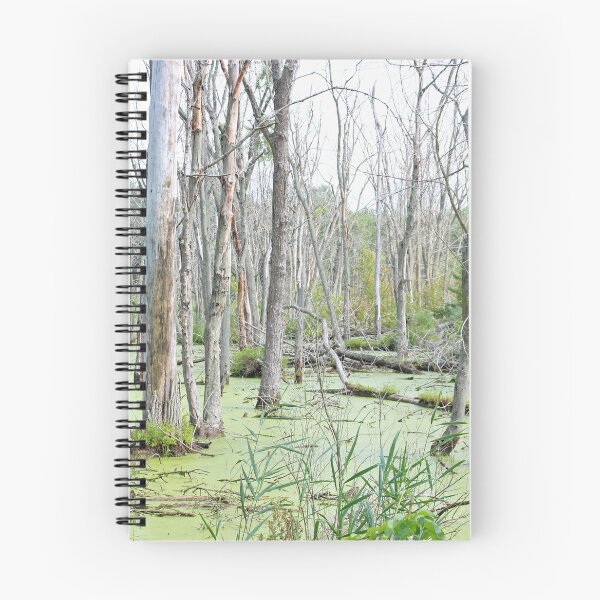 Item preview, Swamp Water and Dead Trees designed and sold by Susie Kramer.