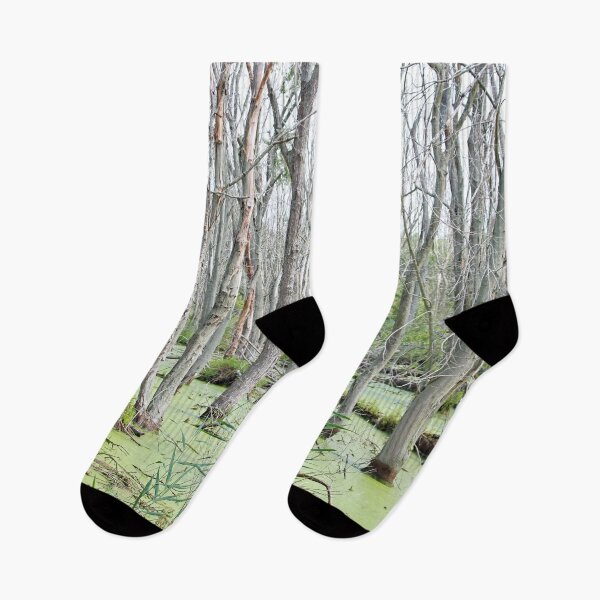 Item preview, Swamp Water and Dead Trees designed and sold by Susie Kramer.