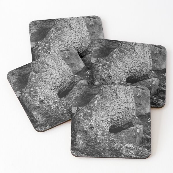 Item preview, The Root of the roots bw designed and sold by Jouko Lehto Photography.