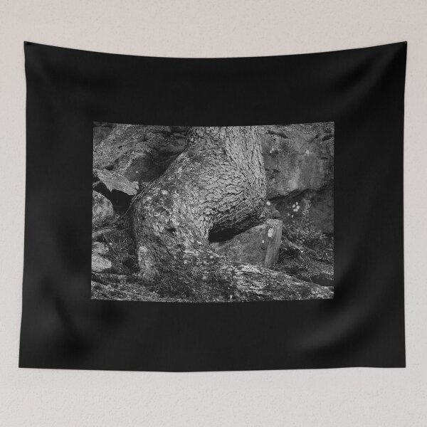 Item preview, The Root of the roots bw designed and sold by Jouko Lehto Photography.