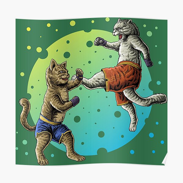 Karate Cat Posters Redbubble