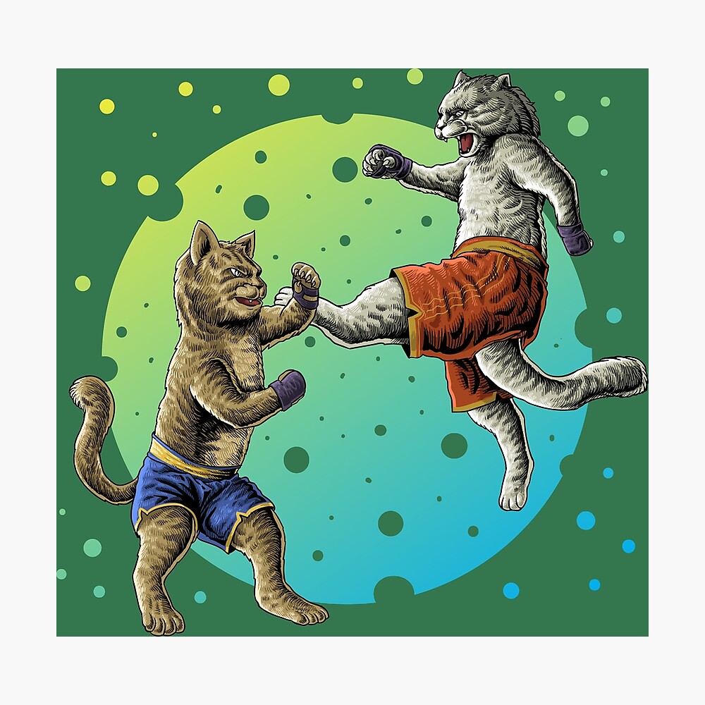 Fighting Karate Cats Poster By Rachidsolution Redbubble