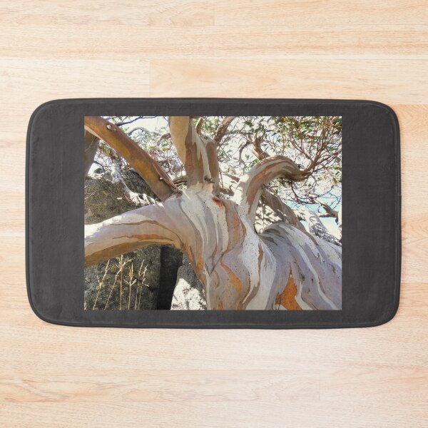 Item preview, Unique Snow Gum, Charlottes Pass, Snowy Mountains, NSW, Australia. designed and sold by kaysharp.