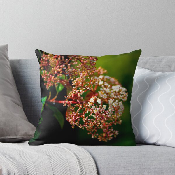 Item preview, Having A Ball designed and sold by DoodleBugImages.