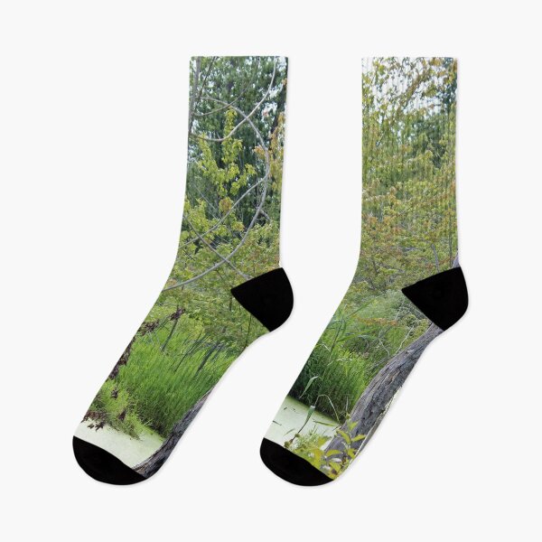 Item preview, Trees and Brush in the Swamp designed and sold by Susie Kramer.