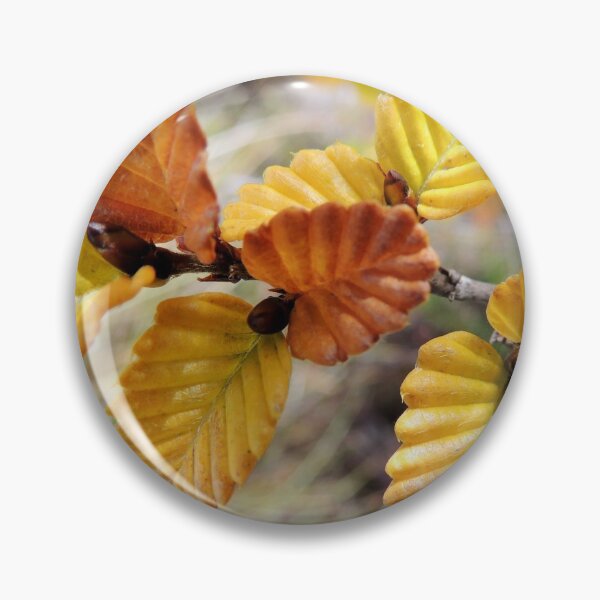 Item preview, Fagus, Dove Lake Circuit, Cradle Mountain, Tasmania, Australia, April 2015. designed and sold by kaysharp.