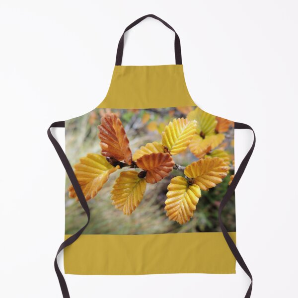 Item preview, Fagus, Dove Lake Circuit, Cradle Mountain, Tasmania, Australia, April 2015. designed and sold by kaysharp.