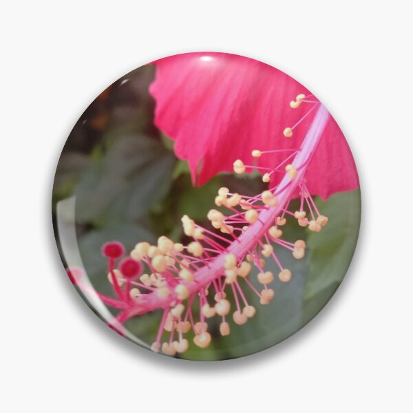 Item preview, hibiscus flower stem and seed designed and sold by basitcv.