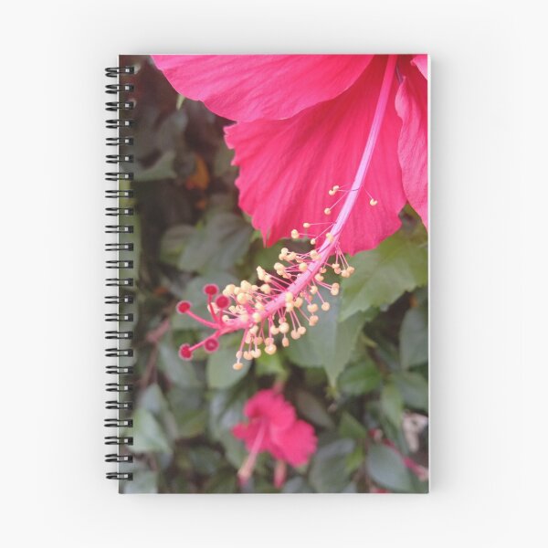 Item preview, hibiscus flower stem and seed designed and sold by basitcv.