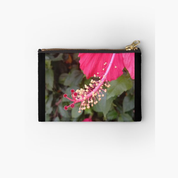 Item preview, hibiscus flower stem and seed designed and sold by basitcv.