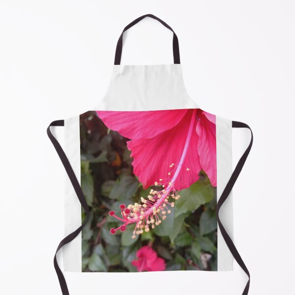 Item preview, hibiscus flower stem and seed designed and sold by basitcv.