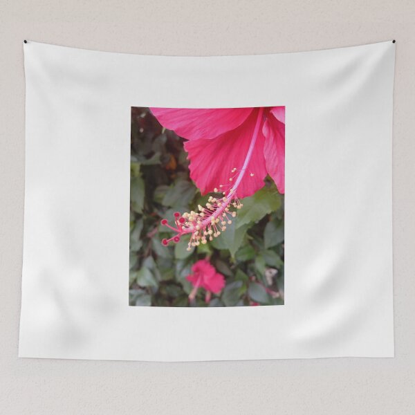 Item preview, hibiscus flower stem and seed designed and sold by basitcv.