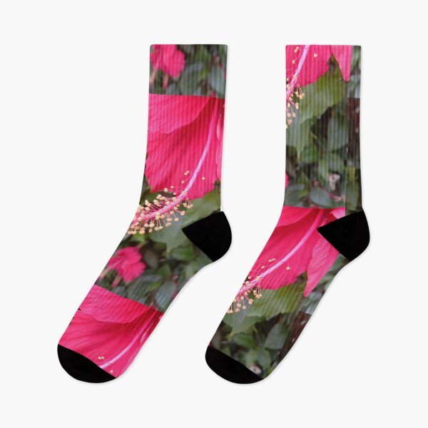 Item preview, hibiscus flower stem and seed designed and sold by basitcv.