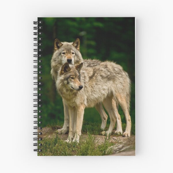 Item preview, Timber Wolves designed and sold by WolvesOnly.