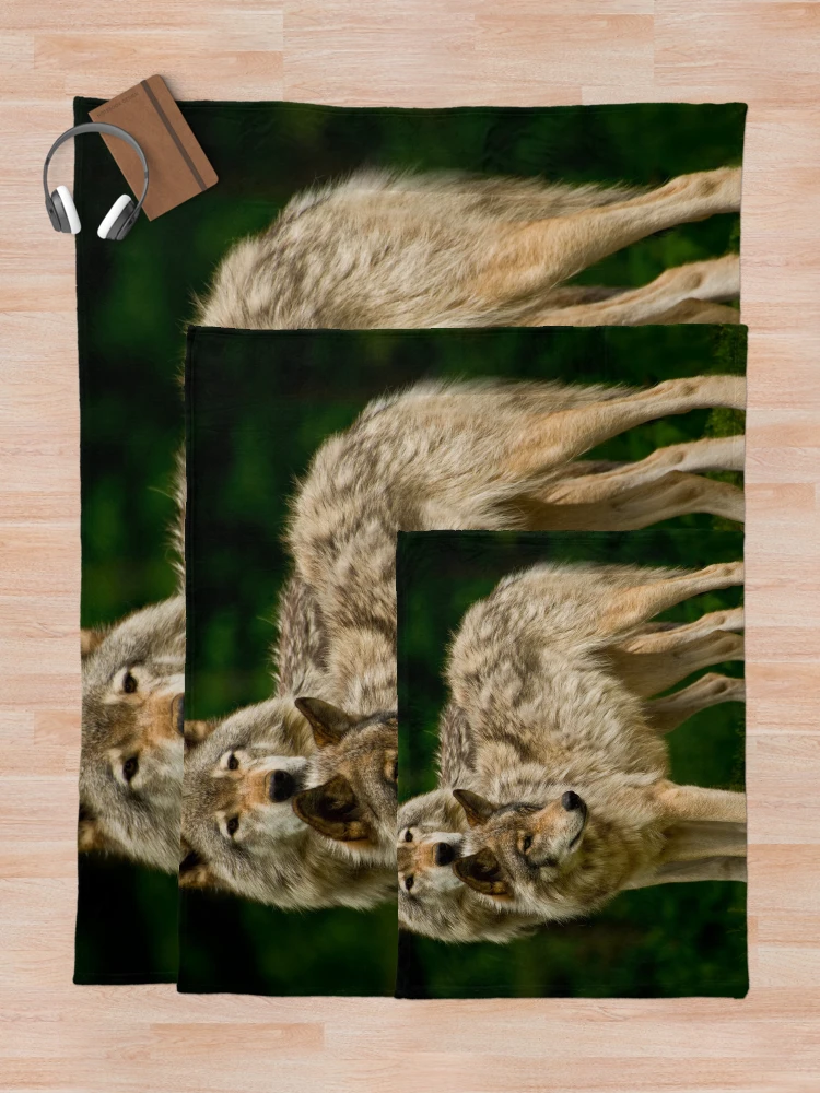 Thumbnail 5 of 6, Throw Blanket, Timber Wolves designed and sold by WolvesOnly.