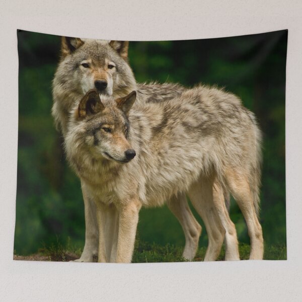 Item preview, Timber Wolves designed and sold by WolvesOnly.