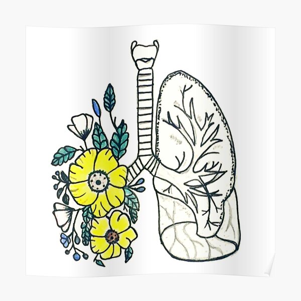 Flower Lungs Posters Redbubble